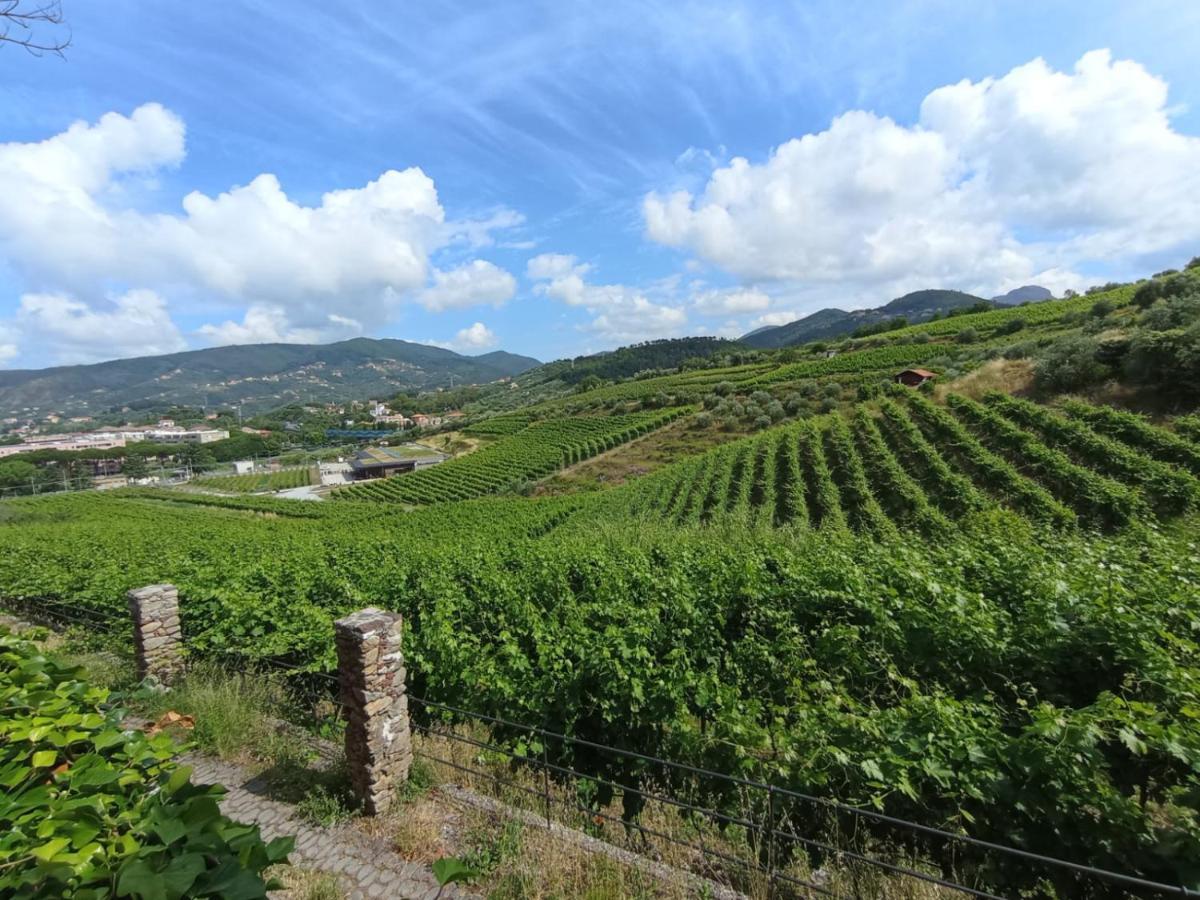 Al Vigneto Apartman Sestri Levante Kültér fotó